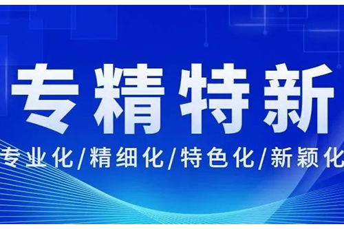 重磅！博士有成成功入选广东省2022年专精特新中小企业!